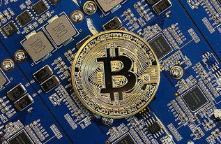 ASIC miners in Texas optimized for Bitcoin hosting