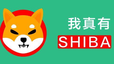 Dogecoin merged mining illustration